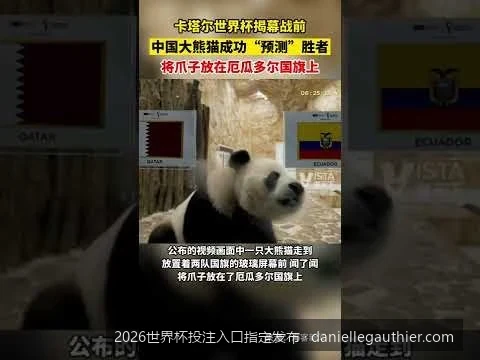 2026世界杯官方指定投注入口安全发布与防骗指南